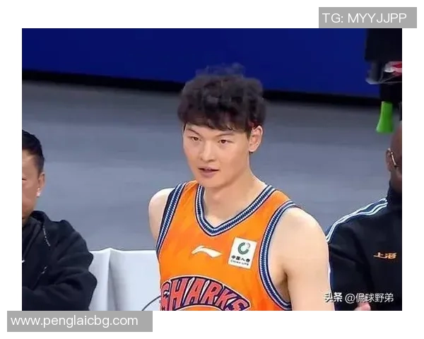 辽篮与山东男篮巅峰对决直播精彩瞬间回顾与分析